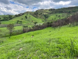 FAZENDA À VENDA – PARÁ DE MINAS/MG