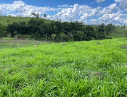 FAZENDA À VENDA – PARÁ DE MINAS/MG