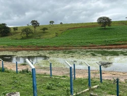 SÍTIO  EM LAGOA PRETA