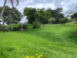 SÍTIO EM CAPOEIRA GRANDE COM 5.4 HECTARES