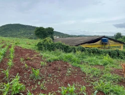 FAZENDA À VENDA – PARÁ DE MINAS / ONÇA DO PITANGUI - MG