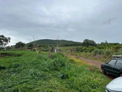 FAZENDA À VENDA – PARÁ DE MINAS / ONÇA DO PITANGUI - MG