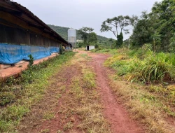 FAZENDA À VENDA – PARÁ DE MINAS / ONÇA DO PITANGUI - MG