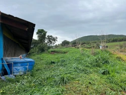 FAZENDA À VENDA – PARÁ DE MINAS / ONÇA DO PITANGUI - MG