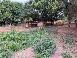 CHÁCARA À VENDA - BOM JESUS DO PARÁ (PARÁ DE MINAS– MG)