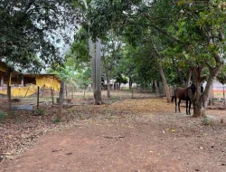 CHÁCARA À VENDA - BOM JESUS DO PARÁ (PARÁ DE MINAS– MG)