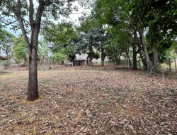 CHÁCARA À VENDA - BOM JESUS DO PARÁ (PARÁ DE MINAS– MG)