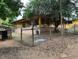 CHÁCARA À VENDA - BOM JESUS DO PARÁ (PARÁ DE MINAS– MG)