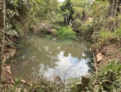 CHÁCARA À VENDA - BOM JESUS DO PARÁ (PARÁ DE MINAS– MG)