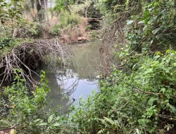 CHÁCARA À VENDA - BOM JESUS DO PARÁ (PARÁ DE MINAS– MG)