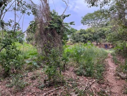 CHÁCARA À VENDA - BOM JESUS DO PARÁ (PARÁ DE MINAS– MG)