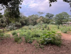 CHÁCARA À VENDA - BOM JESUS DO PARÁ (PARÁ DE MINAS– MG)