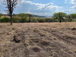 CHÁCARA EM SAO JOSÉ DA VARGINHA