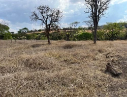 CHÁCARA EM SAO JOSÉ DA VARGINHA