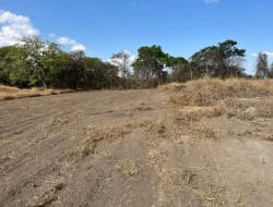 CHÁCARA EM SAO JOSÉ DA VARGINHA