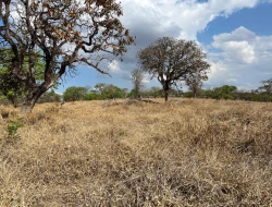 CHÁCARA EM SAO JOSÉ DA VARGINHA