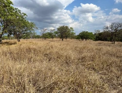 CHÁCARA EM SAO JOSÉ DA VARGINHA
