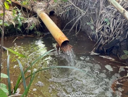 FAZENDA À VENDA – PARÁ DE MINAS/MG