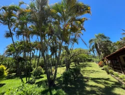 SITIO 3,5 HECTARES NOS PAULA