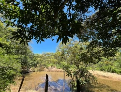 SITIO 3,5 HECTARES NOS PAULA