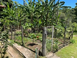 SITIO 3,5 HECTARES NOS PAULA