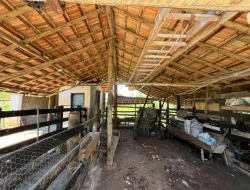 SITIO 3,5 HECTARES NOS PAULA