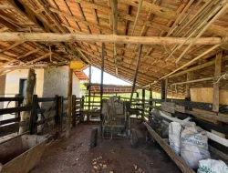 SITIO 3,5 HECTARES NOS PAULA