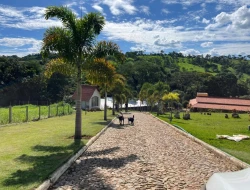 SÍTIO À VENDA – 20.000 m²