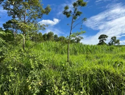 SÍTIO À VENDA – 20.000 m²