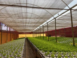 SÍTIO À VENDA – 20.000 m²