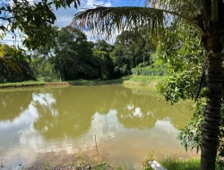 SÍTIO À VENDA – 20.000 m²