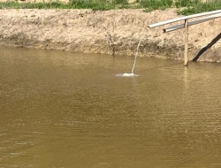 CHÁCARA EM LAGOA PRETA