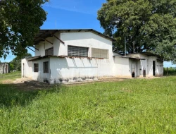 SÍTIO PRÓXIMO A  TORNEIROS - PARÁ DE MINAS-MG