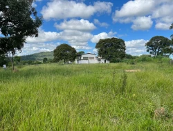 SÍTIO PRÓXIMO A  TORNEIROS - PARÁ DE MINAS-MG