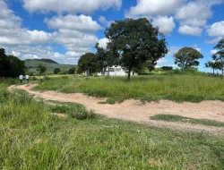 SÍTIO PRÓXIMO A  TORNEIROS - PARÁ DE MINAS-MG