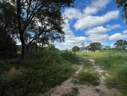 SÍTIO PRÓXIMO A  TORNEIROS - PARÁ DE MINAS-MG