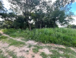 SÍTIO PRÓXIMO A  TORNEIROS - PARÁ DE MINAS-MG