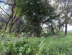 SÍTIO PRÓXIMO A  TORNEIROS - PARÁ DE MINAS-MG