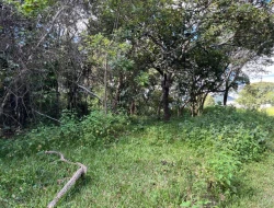 SÍTIO PRÓXIMO A  TORNEIROS - PARÁ DE MINAS-MG