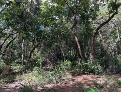 SÍTIO PRÓXIMO A  TORNEIROS - PARÁ DE MINAS-MG