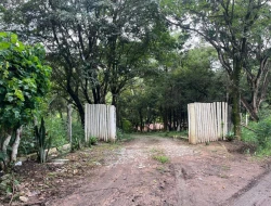 FAZENDA EM LIMAS DO PARÁ - PARÁ DE MINAS - MG