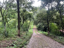FAZENDA EM LIMAS DO PARÁ - PARÁ DE MINAS - MG