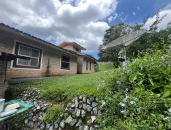 FAZENDA EM LIMAS DO PARÁ - PARÁ DE MINAS - MG