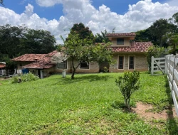 FAZENDA EM LIMAS DO PARÁ - PARÁ DE MINAS - MG