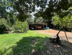 FAZENDA EM LIMAS DO PARÁ - PARÁ DE MINAS - MG