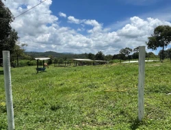 FAZENDA EM LIMAS DO PARÁ - PARÁ DE MINAS - MG