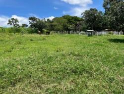 FAZENDA EM LIMAS DO PARÁ - PARÁ DE MINAS - MG