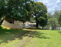 FAZENDA EM LIMAS DO PARÁ - PARÁ DE MINAS - MG