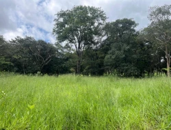 FAZENDA EM LIMAS DO PARÁ - PARÁ DE MINAS - MG