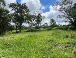 FAZENDA EM LIMAS DO PARÁ - PARÁ DE MINAS - MG